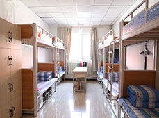 �Ƀ�����������